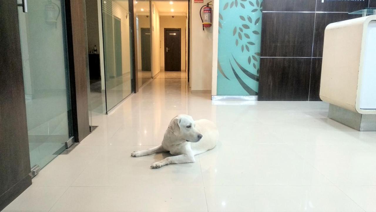 Sai Srushti By Neem Square Hotell Shirdi Eksteriør bilde
